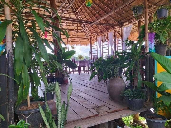 Muang Không Champa Guesthouse מראה חיצוני תמונה